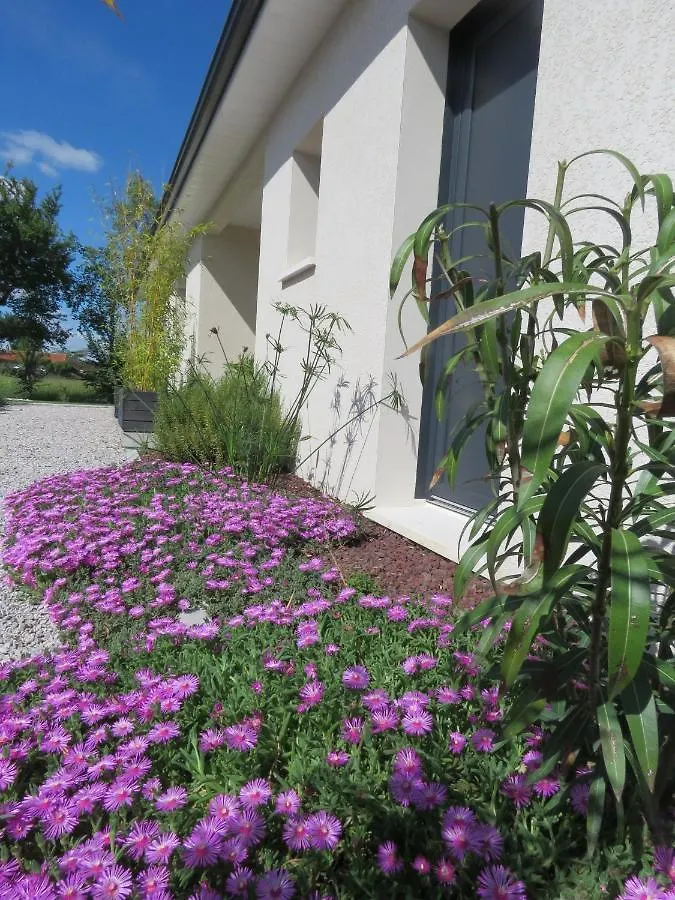 Les Jardins D'Oc - Wifi, Terrasse Et Jardinet - Appart T2 Neuf Apartment Soual France