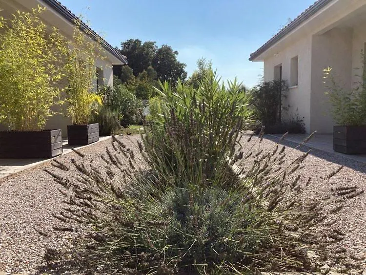Les Jardins d'Oc - Wifi, Terrasse et Jardinet - Appart T2 neuf Soual